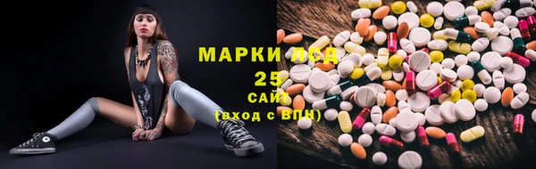 гидра Горно-Алтайск