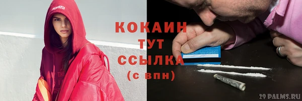 бошки Горняк