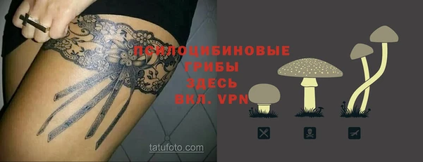бошки Горняк